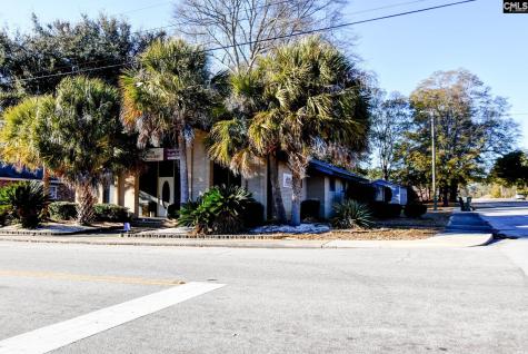 495 Dantlzer Street Orangeburg SC 29115