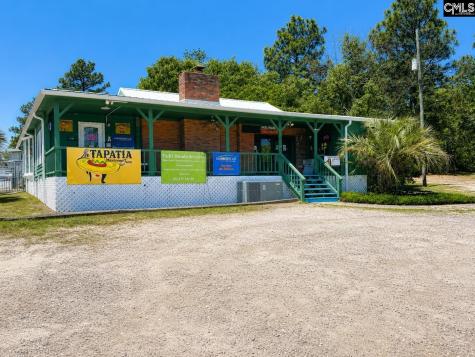 2040 S Lake Drive Lexington SC 29072