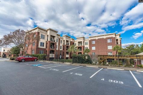 1324 Pulaski Street 112-a Columbia SC 29201-3080