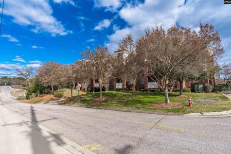 1324 Pulaski Street 112-a Columbia SC 29201-3080