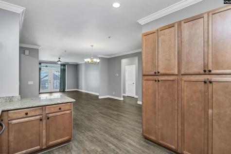 133 Waterway Court 17-b Lexington SC 29072