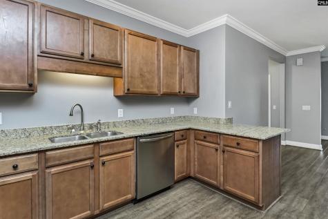 133 Waterway Court 17-b Lexington SC 29072