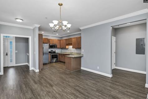 133 Waterway Court 17-b Lexington SC 29072