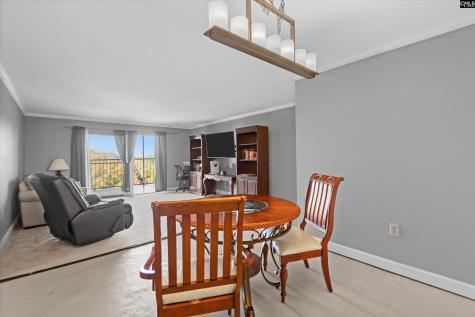 1825 Saint Julian Place 8d Columbia SC 29204