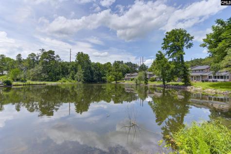 141 Jefferson Place Columbia SC 29212