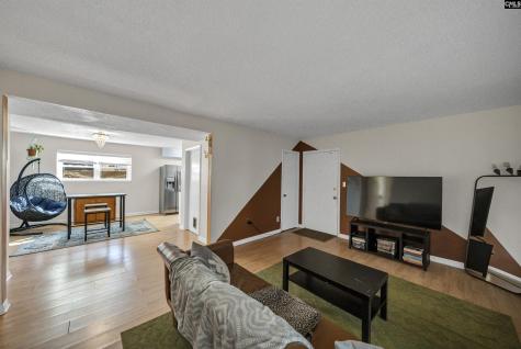 1100 Skyland Drive P4 Columbia SC 29210