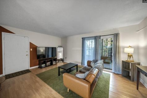 1100 Skyland Drive P4 Columbia SC 29210