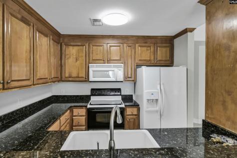 1441 Old Chapin Road #232 Lexington SC 29072