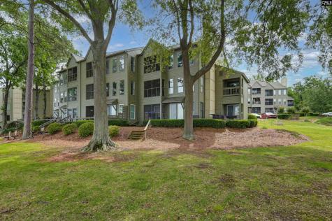 1441 Old Chapin Road #232 Lexington SC 29072
