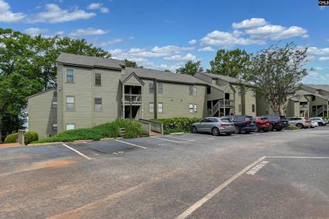 1441 Old Chapin Road #232 Lexington SC 29072