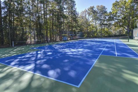 1441 Old Chapin Road #232 Lexington SC 29072