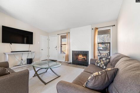 37 Canterbury Court Columbia SC 29210