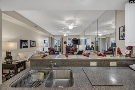 1100 Bluff Road 407 Columbia SC 29201