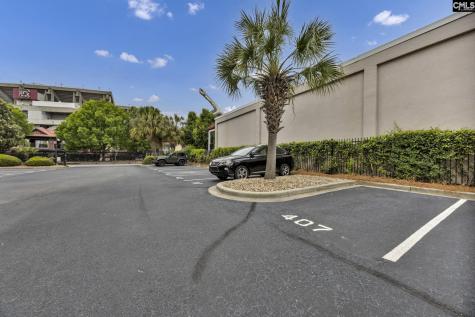1100 Bluff Road 407 Columbia SC 29201