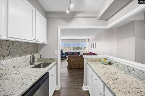 1520 Senate Street 71 Columbia SC 29201