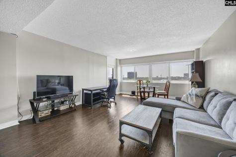 1520 Senate Street 87 Columbia SC 29201