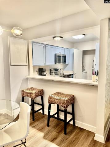 448 Deerwood Street 4c Columbia SC 29205