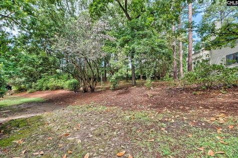 8 Cassia Court Columbia SC 29209