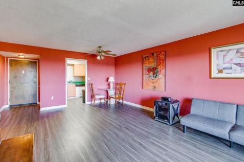 1825 Saint Julian Place 11i Columbia SC 29204