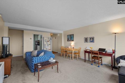 1520 Senate Street 118 Columbia SC 29201