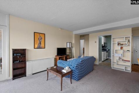1520 Senate Street 118 Columbia SC 29201