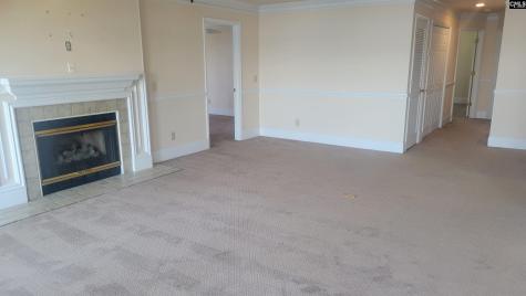 1441 Old Chapin Road 123 Lexington SC 29072