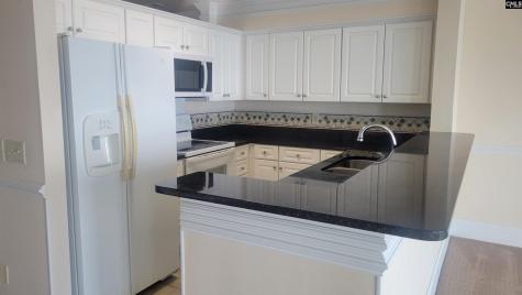 1441 Old Chapin Road 123 Lexington SC 29072