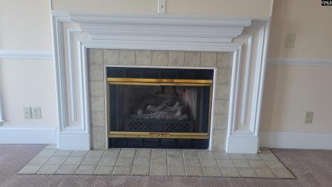 1441 Old Chapin Road 123 Lexington SC 29072