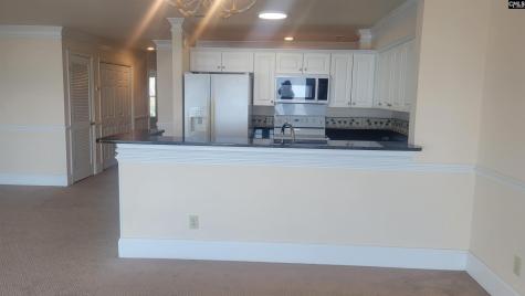 1441 Old Chapin Road 123 Lexington SC 29072