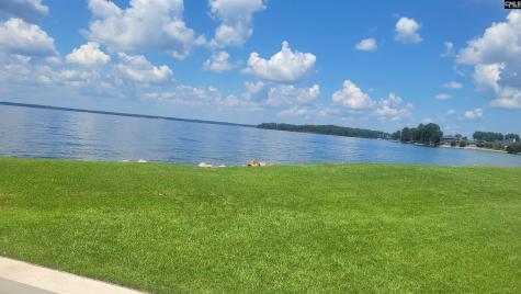 1441 Old Chapin Road 123 Lexington SC 29072