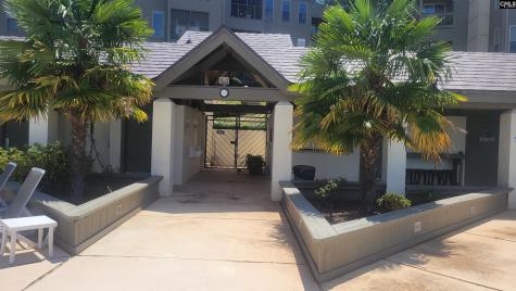 1441 Old Chapin Road 123 Lexington SC 29072