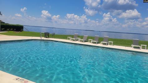 1441 Old Chapin Road 123 Lexington SC 29072