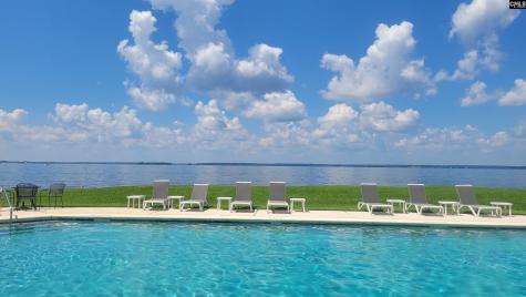 1441 Old Chapin Road 123 Lexington SC 29072