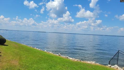 1441 Old Chapin Road 123 Lexington SC 29072