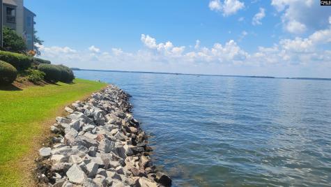 1441 Old Chapin Road 123 Lexington SC 29072