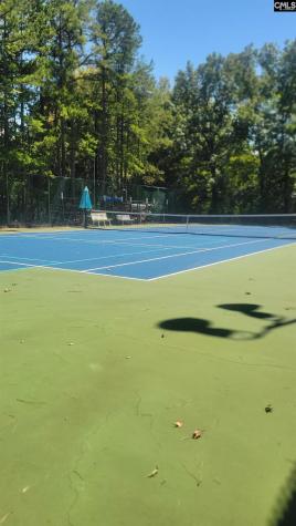 1441 Old Chapin Road 123 Lexington SC 29072