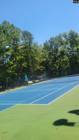 1441 Old Chapin Road 123 Lexington SC 29072