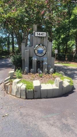 1441 Old Chapin Road 123 Lexington SC 29072