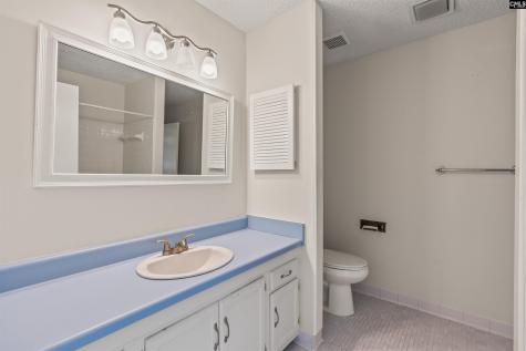 311 Dryden Lane Columbia SC 29212