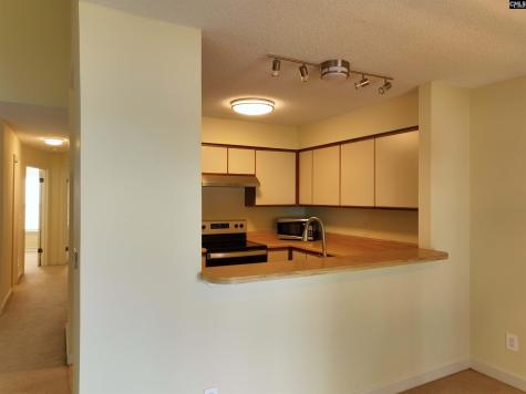 1441 Old Chapin Road 832 Lexington SC 29072