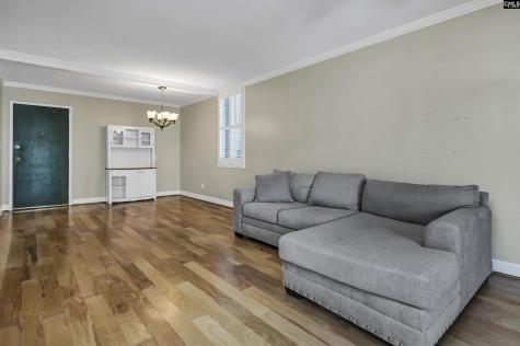 619 King Street 201 Columbia SC 29205-2365
