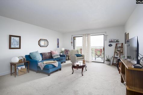 1825 Saint Julian Place Columbia SC 29204