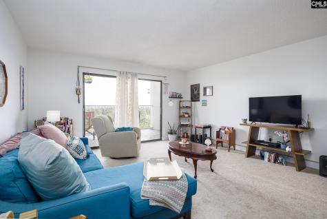 1825 Saint Julian Place Columbia SC 29204
