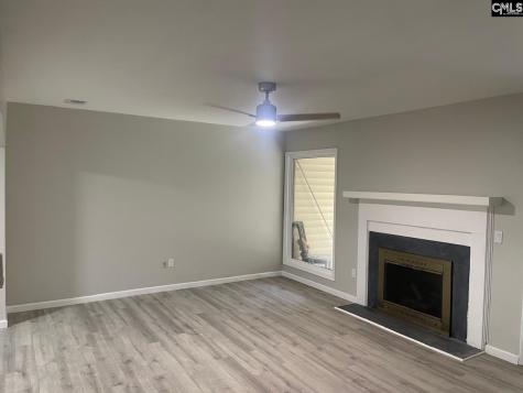 153 Lionsgate Drive Columbia SC 29223-6422