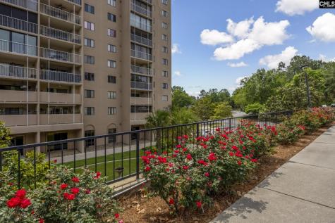 1825 Saint Julian Place 9b Columbia SC 29204