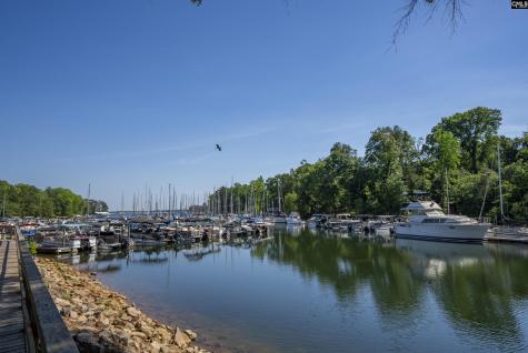 215 Shoreline Drive Columbia SC 29212