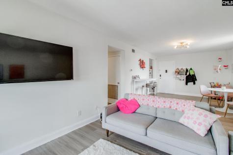 619 King Street 901 Columbia SC 29205