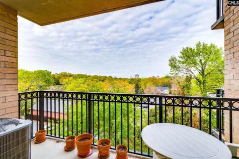 619 King Street 509 Columbia SC 29205