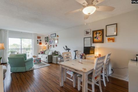 619 King Street 509 Columbia SC 29205