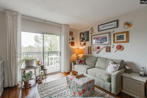 619 King Street 509 Columbia SC 29205